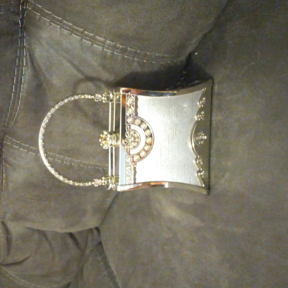 Gorgeous silver evening purse